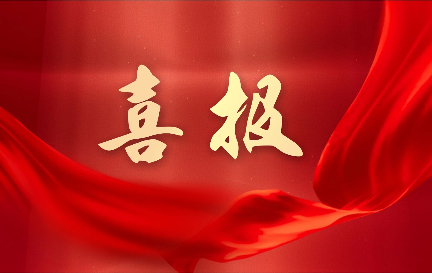 营收净利双增长！依顿电子2025年一季度经营业绩续写高质量发展华章